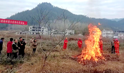 土城镇：扎实推进森林防灭火工作 筑牢绿色安全屏障