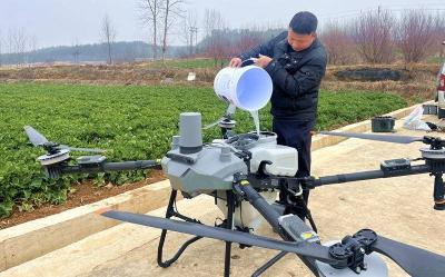 红塔镇：无人机“飞防”为油菜小麦稳产增收“护航”