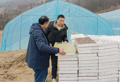 沙河乡：技术指导到田间