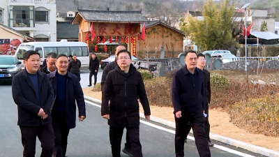 杨丹华调研南山片区乡村振兴中彩项目建设情况