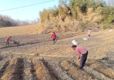 沙河乡：昼兴产业谋发展 夜聚民心筑乡情