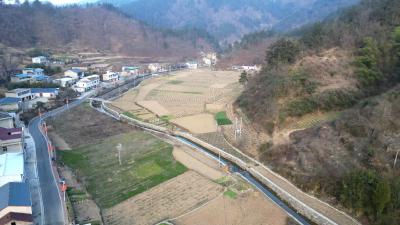 五台乡：发展“林下经济”  打造“黄精小镇”