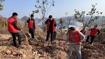 房县新华书店参与2025年春季义务植树活动