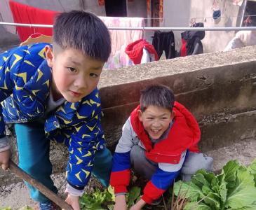 大木厂镇板桥小学：家校携手添新绿 亲子共植寄希望