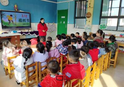 军店镇中心幼儿园：“植”此青绿“树”你最棒