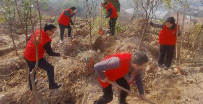 县卫健局：开展义务植树活动 共建绿色家园