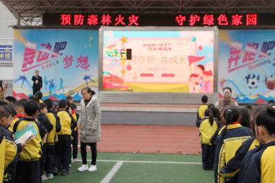 房县东城小学：预防森林防火 守护绿色家园