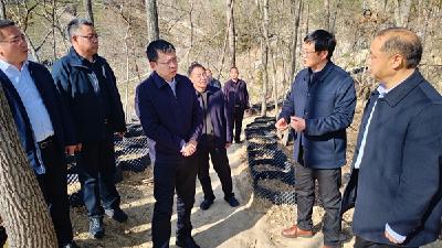 杨丹华强调：坚持生态与产业融合  激活林下经济发展潜力