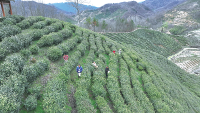 房县：坚持以综治保险“小保单”撬动社会治理“大平安”