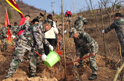 房县退役军人志愿服务队：退役不褪色 植树添新绿