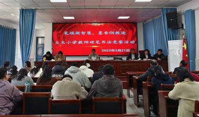 大木厂镇大木小学：笔端凝智慧 墨香润教途
