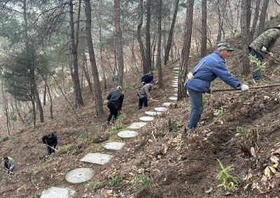窑淮镇：黄精产业助农增收 立体种植添绿生金