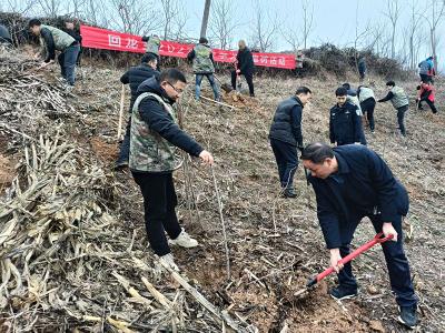 “植”此青绿  共筑美好家园——房县回龙乡开展春季义务植树活动