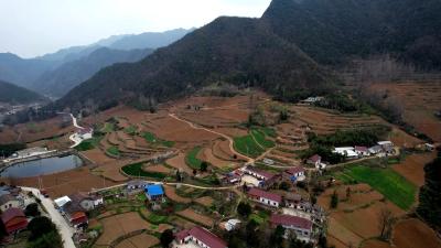 青峰镇：春耕备耕热潮涌动 绘就来年好“丰”景