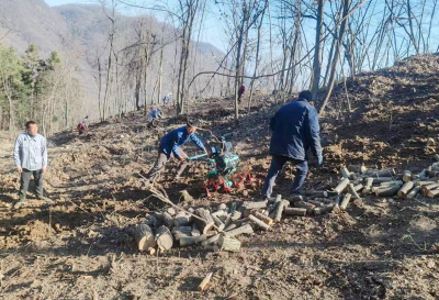 沙河乡：发展富民产业 促进乡村振兴