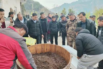 九道乡：做好春耕服务 助力烟叶优质发展