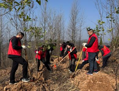 房县供销社干部职工参加春季义务植树活动