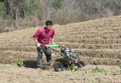 沙河乡：烤烟起垄正当时