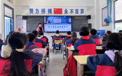 大木厂镇大木小学：与春风相伴 与安全同行