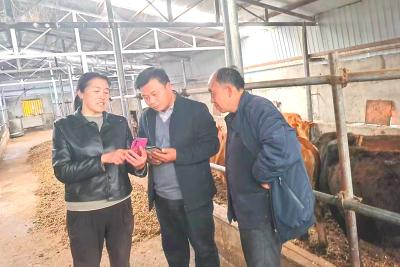 ​房县：牧铃叮当处 一位乡村兽医的深情守护