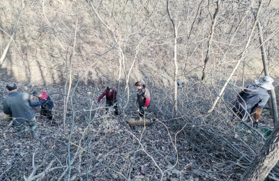 沙河乡：解锁林下“生金”密码 发现增收致富宝典