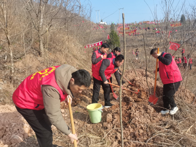 房县公共资源交易中心：春风十里学雷锋 志愿植树添新绿