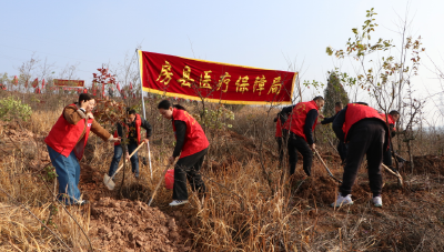 房县医疗保障局：“党旗红”引领“医保蓝” 植树再添生态绿