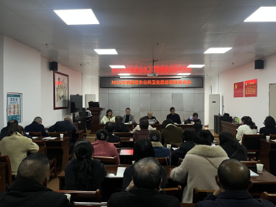 城关镇辖区小型医疗机构2025年度公共卫生工作稳步推进