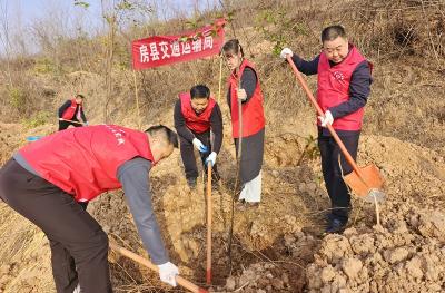 房县交通运输局：植树添新绿房陵大地焕生机