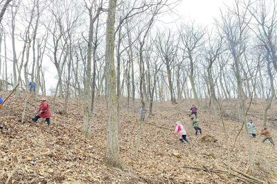 沙河乡：林下天麻产业 燃起乡村振兴新曙光