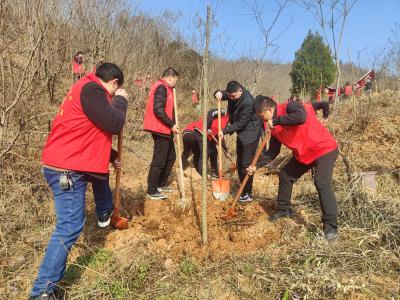房县人社局：春风浩荡启新程  人社携手添新绿