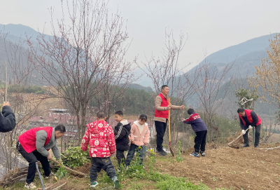 九道乡关坪小学：一楸一铲育新绿 一树一林筑未来