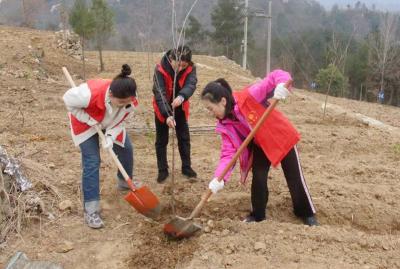 窑淮镇：义务植树添新绿 生态振兴增活力