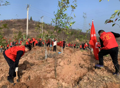 县招商中心开展义务植树共建绿色家园活动