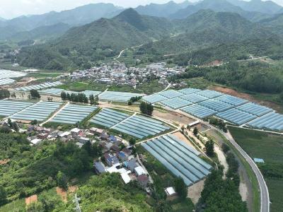 房县化龙堰镇：“小三级”工会赋能基层治理