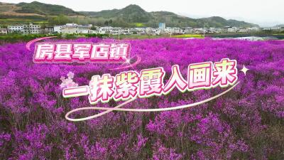 房县：一抹紫霞入画来