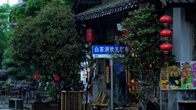 谷雨润房陵·寻味西关印象