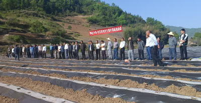 门古寺镇：党建引领促发展 技术下乡助增收