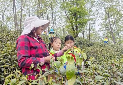 军店小学：踏春研学路 知行共成长