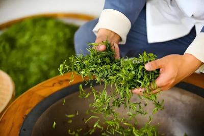 房州风物·新茶上市——赴一场舌尖的春日之约