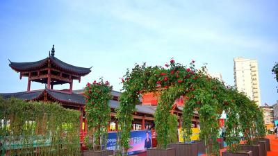 万株月季扮靓城市 千年诗城“增花添彩”