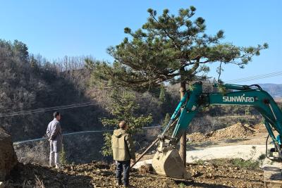 漳兰河酒业启动“绿色焕新”行动  打造生态友好型企业样板