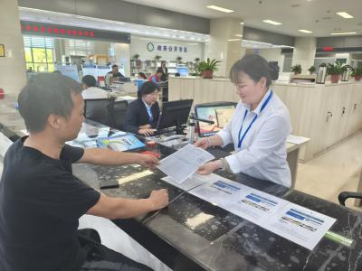 不到1小时！“跨域通办”解民忧