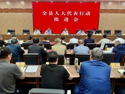全县“聚力支点建设·推动产业升级”代表行动推进会召开