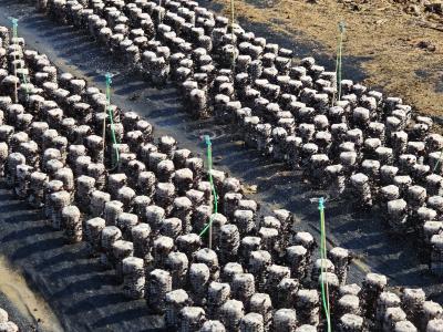 全市第一！一季度房县GDP增长7.8%！