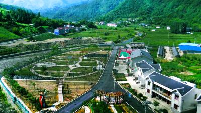 【服务支点建设 展现房县作为】上龛乡：聚力支点建设  打造药养小镇