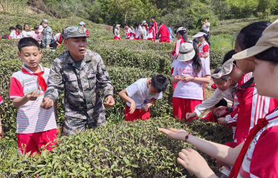 城关镇花宝小学：触摸历史脉络让文化自信扎根童心