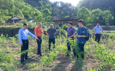 ​房县携手武汉大学共建黄精科技小院 政企合力共绘产业发展新蓝图