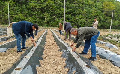 上龛乡召开烟叶抗旱移栽技术培训会
