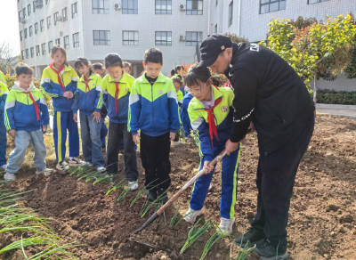 房县军店小学：劳动实践基地开种